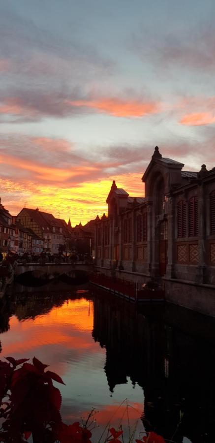 New ! Vue Petite Venise, Place To Be - Parking Colmar Esterno foto