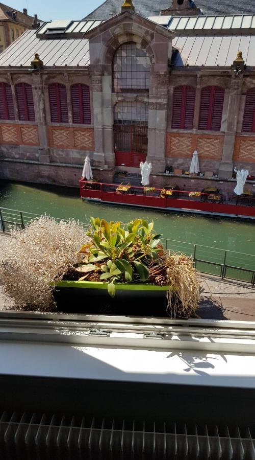 New ! Vue Petite Venise, Place To Be - Parking Colmar Esterno foto