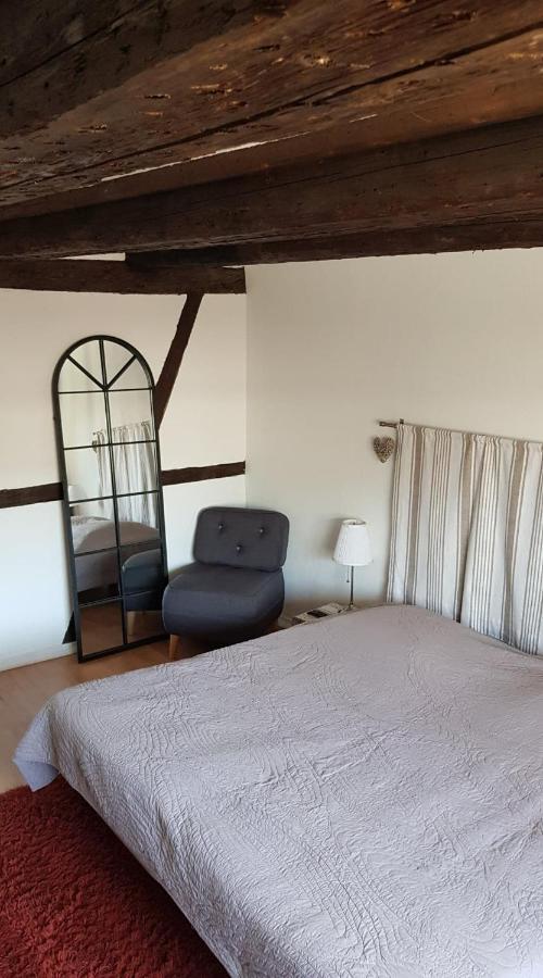 New ! Vue Petite Venise, Place To Be - Parking Colmar Esterno foto